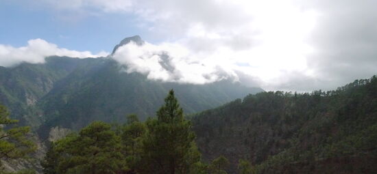 Blick  vom Mirador del Lomo de Tagasaste