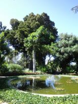 Jardín Botánico