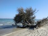 Strand nach Marmari