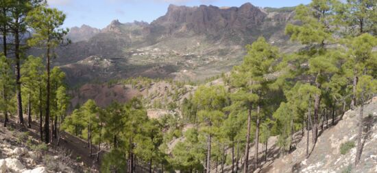 Blick in den Barranco de la Hoya