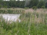 Blick auf die Havel