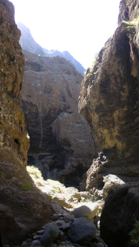 In der Schlucht von Masca