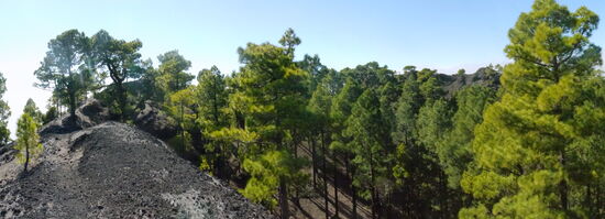Auf dem Rand des Vulkans Montana del Fuego