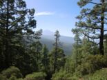 Blick auf den Teide