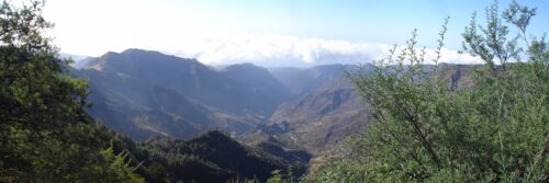 Blick in das Benchijigua-Tal vom Mirador de Tajaqué