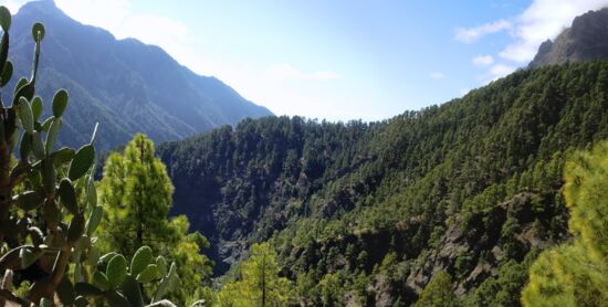 Mirador del Lome de Tagasaste